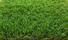 Hastings kert műfű szőnyeg UV 4m széles