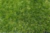 Prescott kerti kültéri műfű szőnyeg UV álló 4m széles
