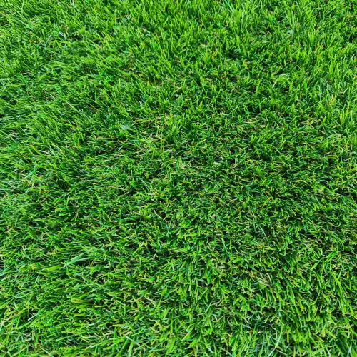 Bársony műfű teraszra zöld élethű 2-4 m széles