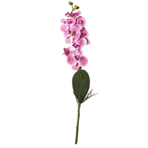 Dahlia Élethű mű orchidea művirág rózsaszín