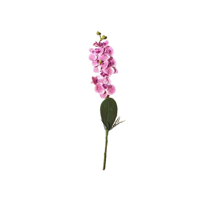 Dahlia Élethű mű orchidea művirág rózsaszín