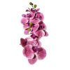 Dahlia Élethű mű orchidea művirág rózsaszín