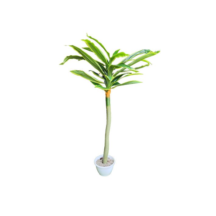 Dracaena Műnövény Műfa 195 cm Mű Sárkányfa