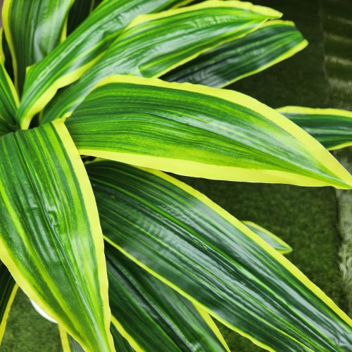 Dracaena Műnövény Műfa 195 cm Mű Sárkányfa