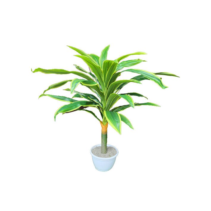 Dracaena Műnövény 130 cm Mű Sárkányfa