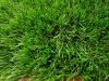 Famington szabadidő játszótéri kültéri zöld műfű szőnyeg
