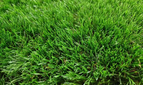 Famington szabadidő játszótéri kültéri zöld műfű szőnyeg