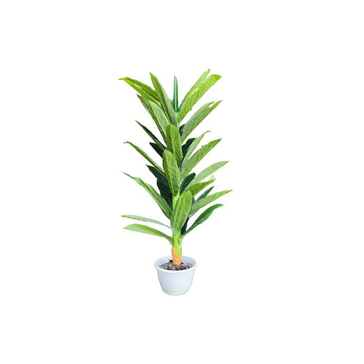 Glauca műnövény műfa élethű 160 cm