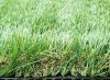 Írisz UV Álló Kültéri Műfű teraszra zöld 50 mm