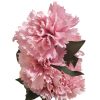 Kenya mű szegfű csokor művirág 9 szálas rózsaszín
