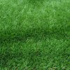 Páfrány UV Álló Terasz Műfű Szőnyeg zöld 35 mm