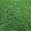 Velvet műfű teraszra zöld élethű 2 m széles